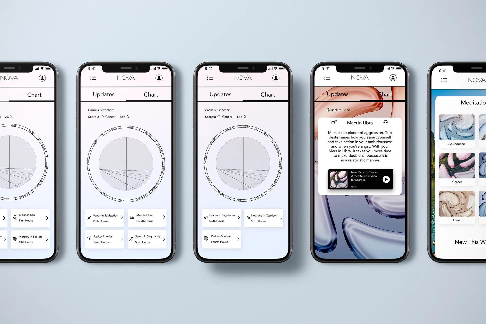 Final birth chart screen